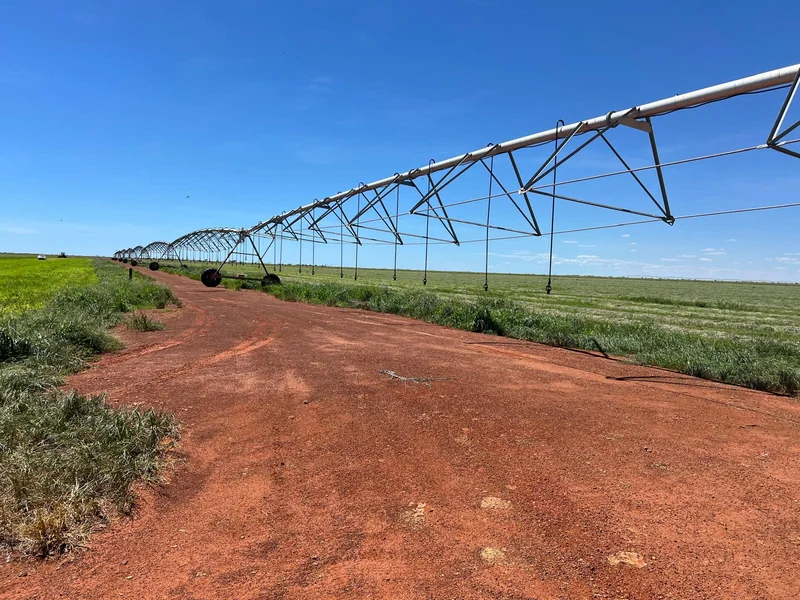 In the Spotlight: Pardoo Wagyu — 4Sight agriculture article