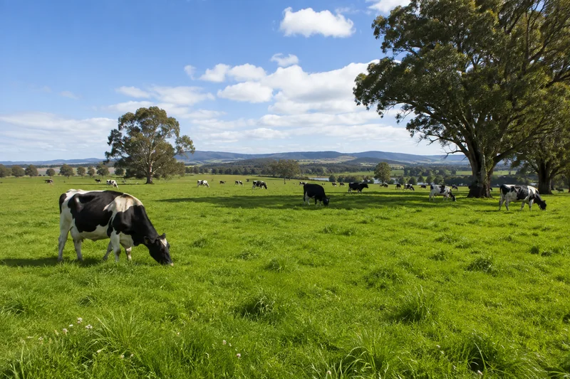 Making the right changes — 4Sight agriculture article