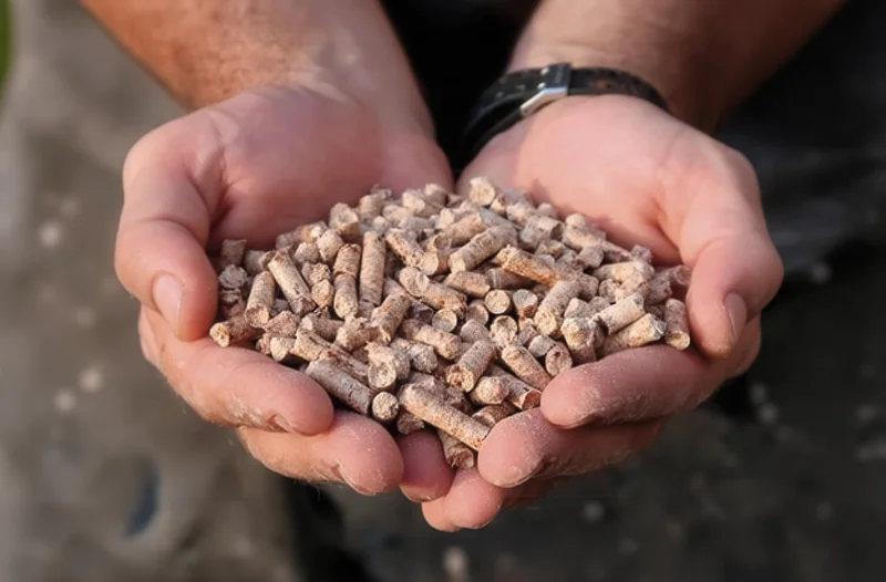 Choosing the Right Mycotoxin Binder: Why Minazel Plus Stands Out — 4Sight agriculture article