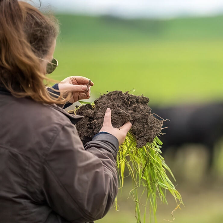 Researcher analysing soil and crop samples in 4Sight agricultural science laboratory