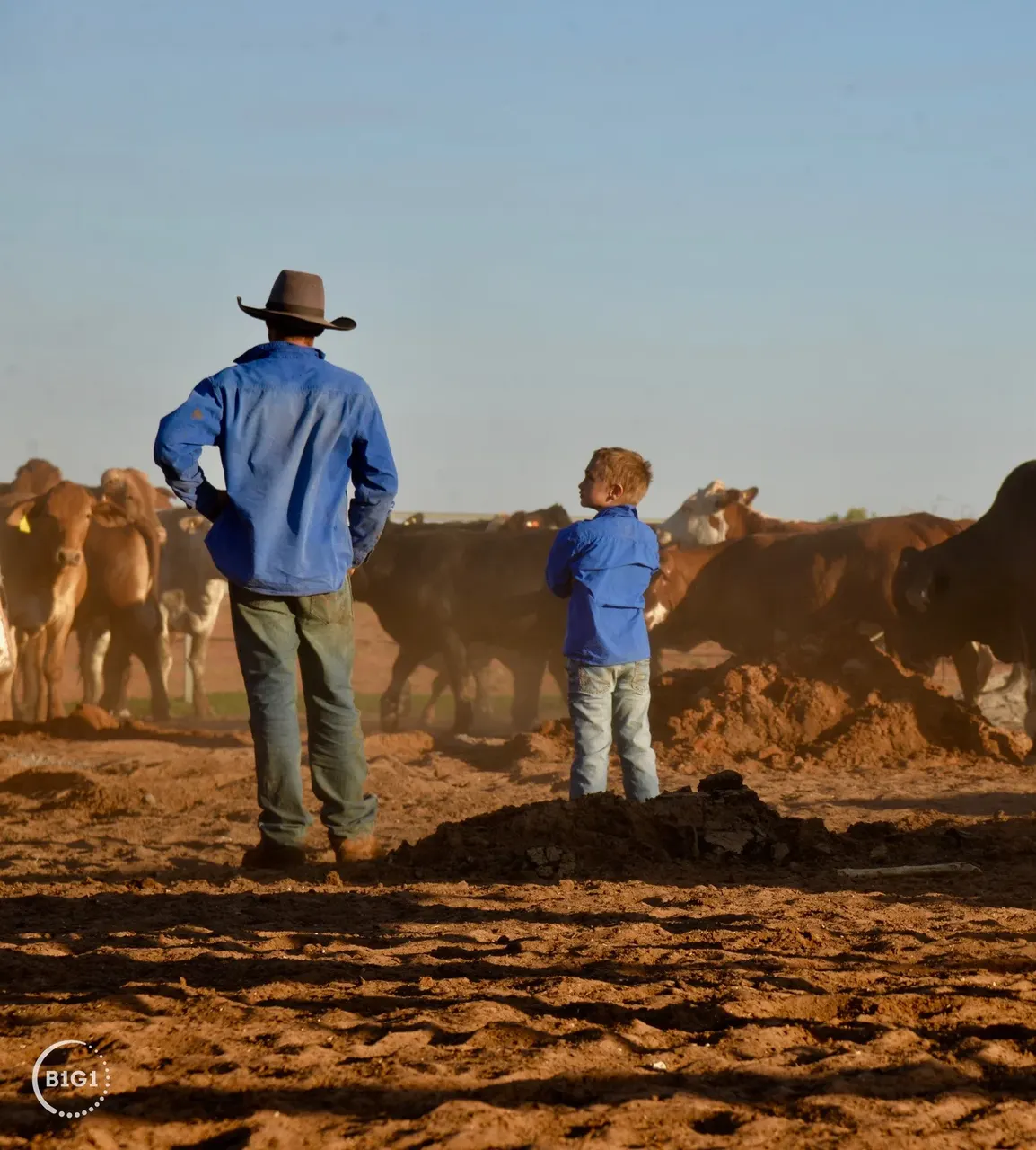 B1G1 farming impact – father and son with cattle